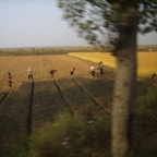 farmers seen from the bus