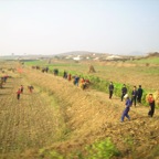 Countryside photoes taken from the bus 1