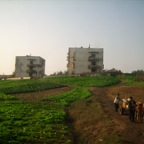 Countryside photoes taken from the bus 2