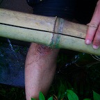 My knee after a little crawling in the (double size) VC tunnel at Cu Chi