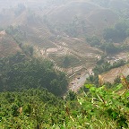Rice terraces in north Viet Nam 1