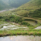 Rice terraces in north Viet Nam 2