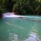 From the waterfall outside Luang Prabang 1