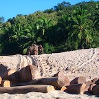 Views from the SlowBoat from Luang Pradang to border of Thailand 6